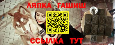 шишки Заволжье