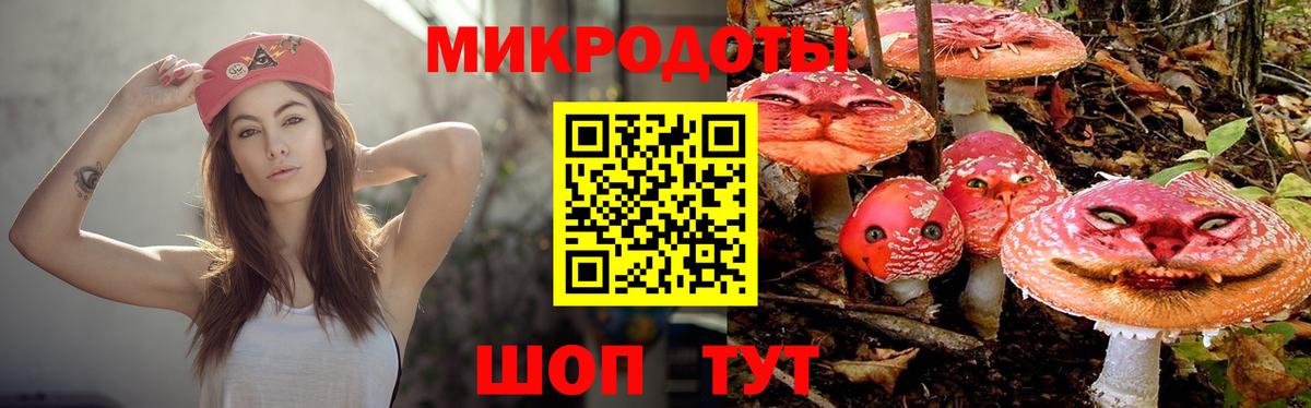 Галлюциногенные грибы ЛСД Лысьва