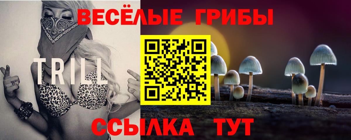 Галлюциногенные грибы MAGIC MUSHROOMS  Вход с VPN  Лысьва 